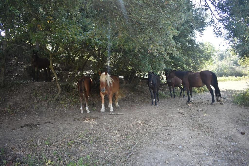 Villefloure Gite A La Ferme Avec Jacuzzi Et Sauna מראה חיצוני תמונה